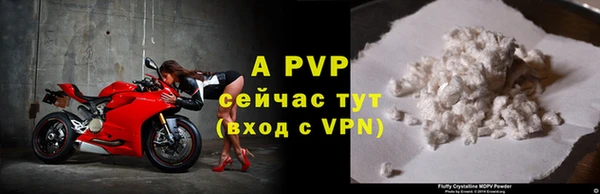 экстази Белокуриха