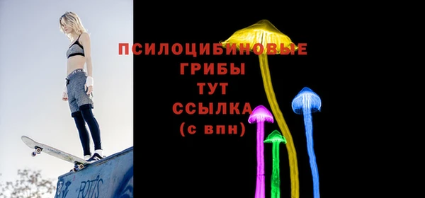 экстази Белокуриха