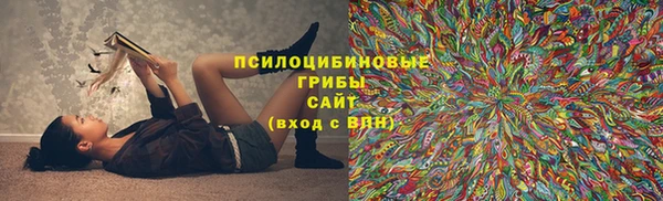 экстази Белокуриха