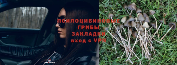 кокс Беломорск