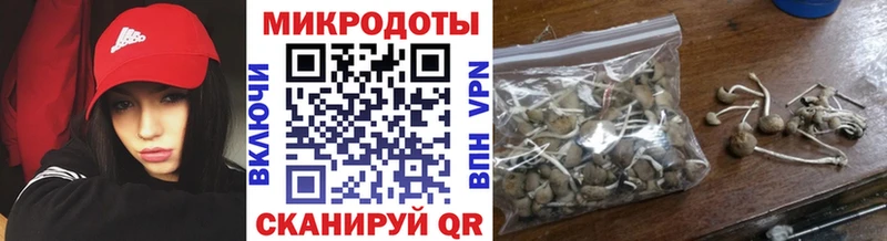 Галлюциногенные грибы Cubensis Кузнецк