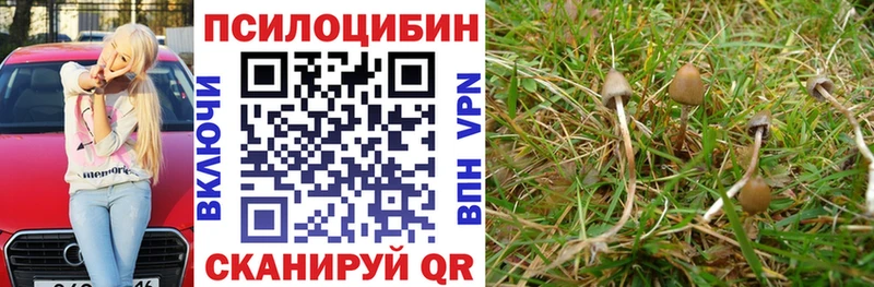 Галлюциногенные грибы прущие грибы  Кузнецк 